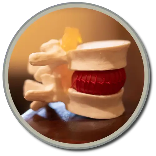 Gonstead Visualization